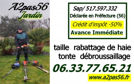 A2pas56 est une entreprise de Service à la Personne qui est Déclarée en Préfecture pour faire bénéficier aux particuliers une déduction fiscale ou un crédit d'impôt de -50% sur l'ensemble des prestations proposées.