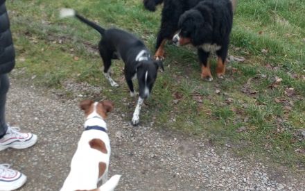 Rencontre