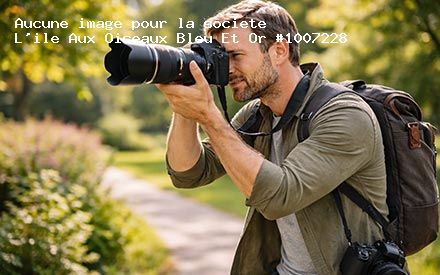 Présentation de L'ile Aux Oiseaux Bleu Et Or