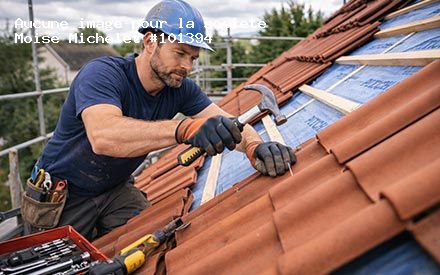 Présentation de Moise Michelet