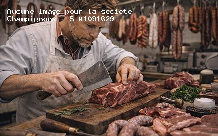 Présentation de Champignons S