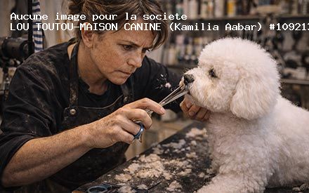 Présentation de LOU TOUTOU-MAISON CANINE (Kamilia Aabar)