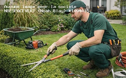 Présentation de NBESPACEVERT (Noah Blay)