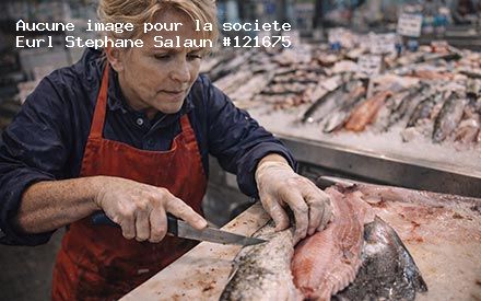 Présentation de Eurl Stephane Salaun
