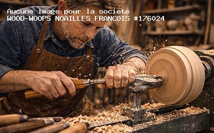 Présentation de WOOD-WOOPS NOAILLES FRANCOIS