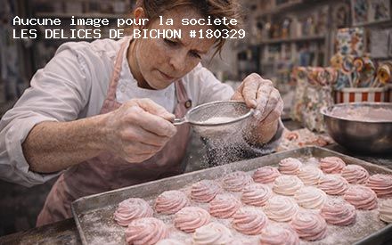 Présentation de LES DELICES DE BICHON