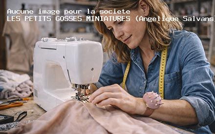 Présentation de LES PETITS GOSSES MINIATURES (Angelique Salvans)
