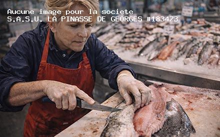 Présentation de S.A.S.U. LA PINASSE DE GEORGES