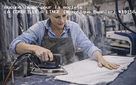 Présentation de LA CORBEILLE A LINGE (Veronique Besnier)