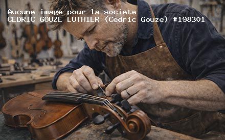 Présentation de CEDRIC GOUZE LUTHIER (Cedric Gouze)