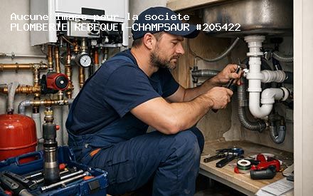 Présentation de PLOMBERIE REBEQUET-CHAMPSAUR