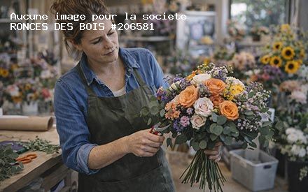 Présentation de RONCES DES BOIS