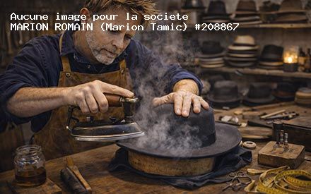Présentation de MARION ROMAIN (Marion Tamic)