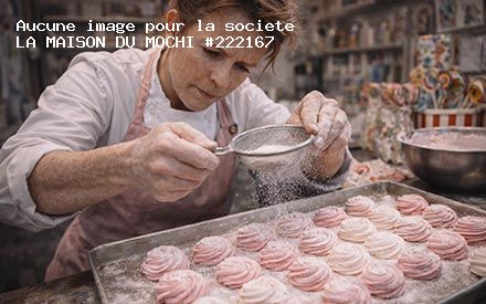 Présentation de LA MAISON DU MOCHI