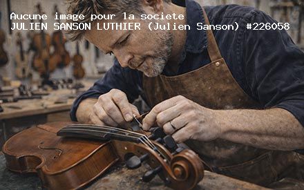 Présentation de JULIEN SANSON LUTHIER (Julien Sanson)