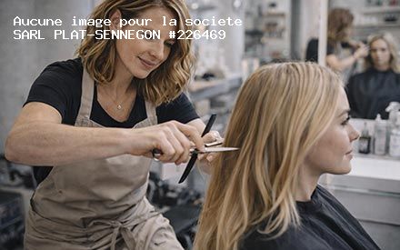 Présentation de SARL PLAT-SENNEGON