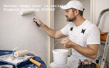 Présentation de Diamond Building