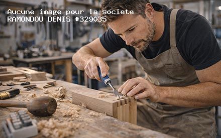Présentation de RAMONDOU DENIS