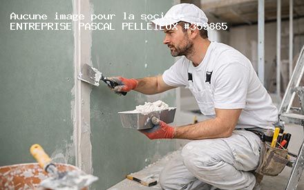 Présentation de ENTREPRISE PASCAL PELLEIEUX