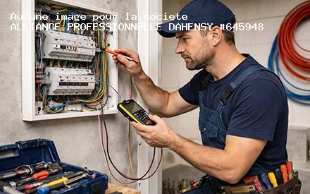 Présentation de ALLIANCE PROFESSIONNELLE DAHENSY
