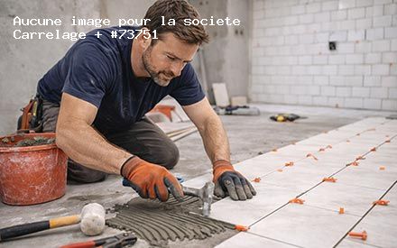 Présentation de Carrelage +