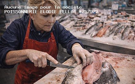 Présentation de POISSONNERIE ELODIE PELLAT