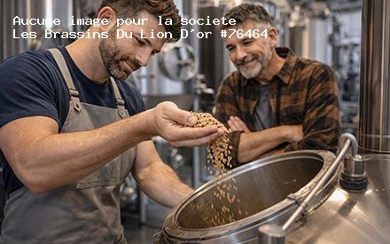 Présentation de Les Brassins Du Lion D'or