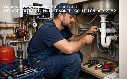 Présentation de DELAGE SERVICE MAINTENANCE SOLUTION