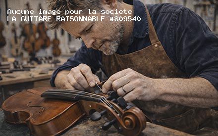 Présentation de LA GUITARE RAISONNABLE