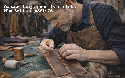 Présentation de Mlm Sellier