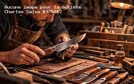 Présentation de Charles Salva