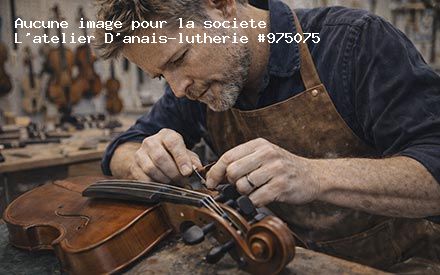 Présentation de L'atelier D'anais-lutherie